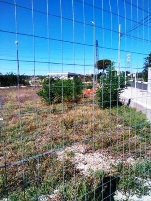 terreno agricolo in vendita a Capena