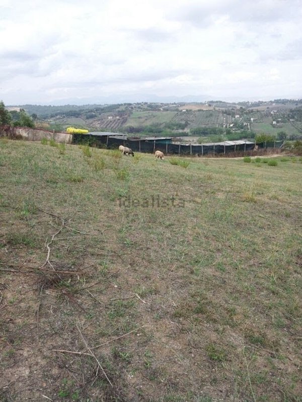 terreno agricolo in vendita a Capena