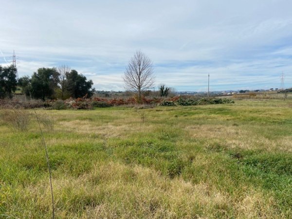 terreno agricolo in vendita a Capena