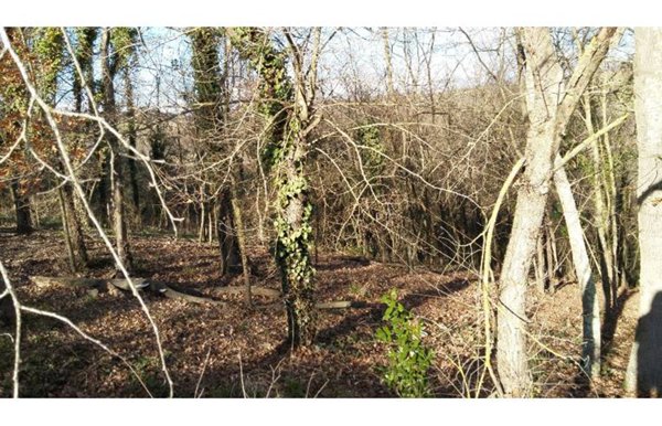 terreno agricolo in vendita a Capena