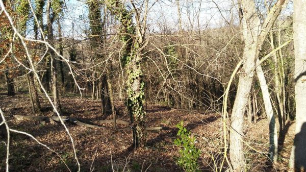 terreno agricolo in vendita a Capena
