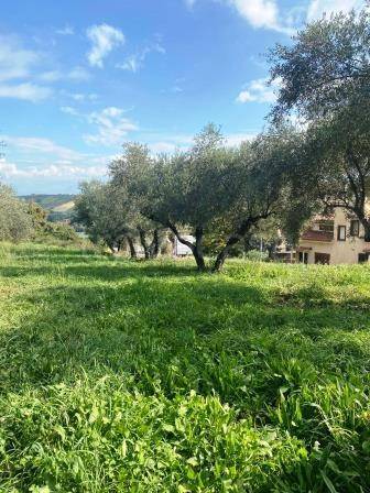 terreno agricolo in vendita a Capena