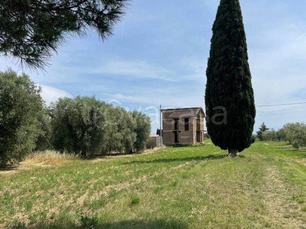 terreno agricolo in vendita a Capena