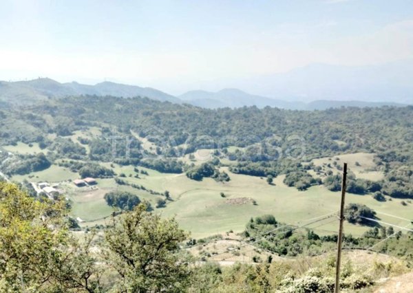 terreno agricolo in vendita a Capranica Prenestina