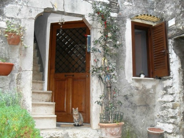 appartamento in vendita a Carpineto Romano