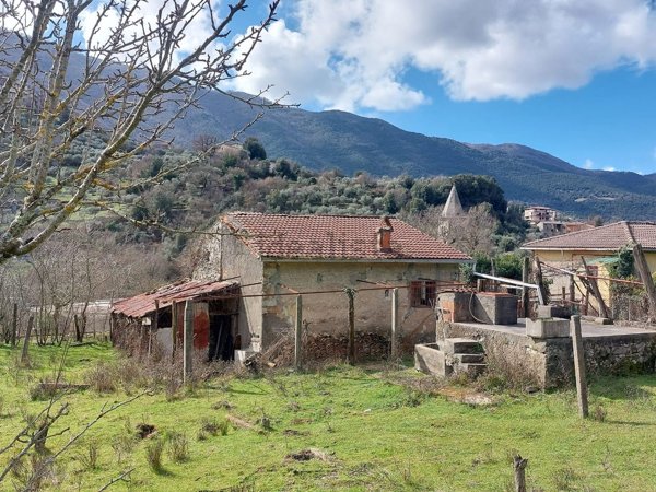 esavano in vendita a Carpineto Romano