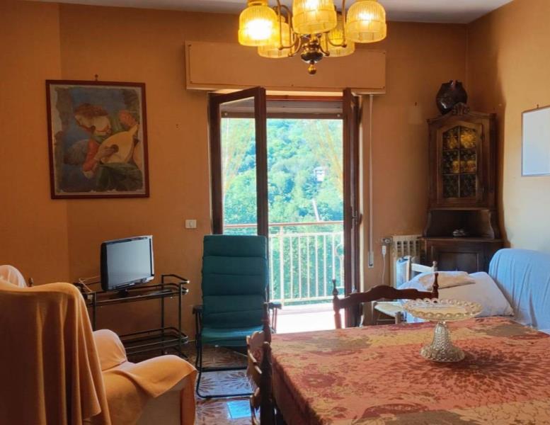 appartamento in vendita a Carpineto Romano