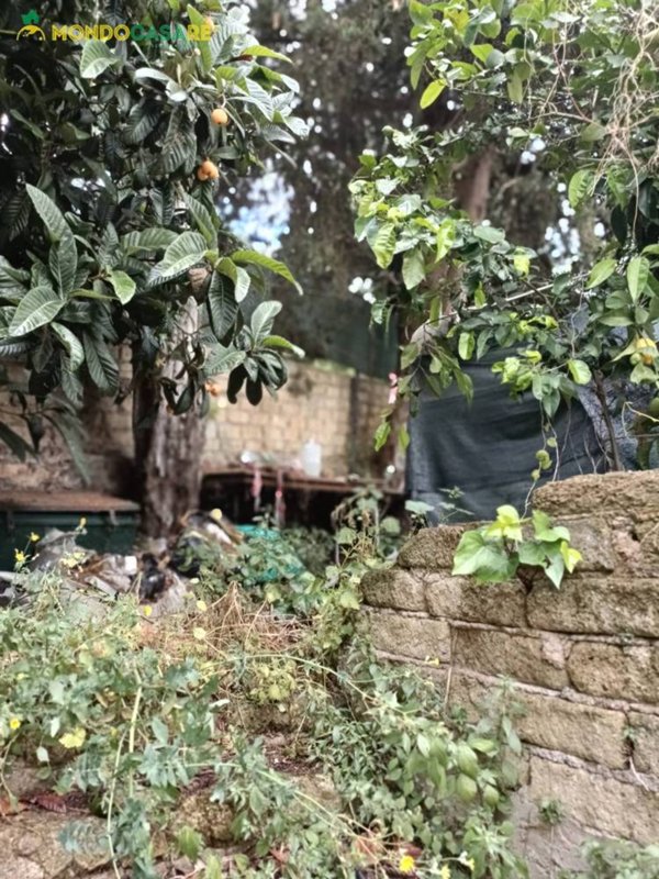 appartamento in vendita a Casape