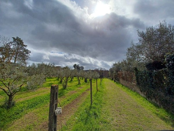 terreno agricolo in vendita a Castel Gandolfo