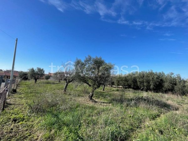 terreno agricolo in vendita a Castel Gandolfo