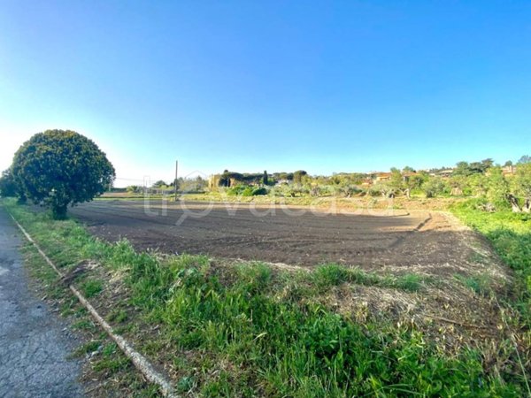 terreno agricolo in vendita a Castel Gandolfo in zona Mole di Castel Gandolfo