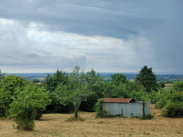 terreno agricolo in vendita a Castel Gandolfo