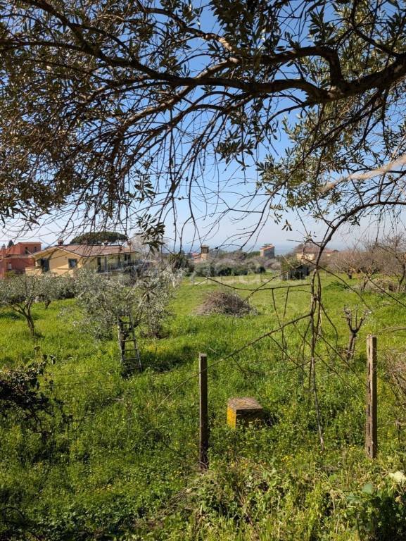 terreno agricolo in vendita a Castel Gandolfo
