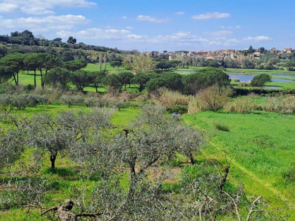 terreno agricolo in vendita a Castel Gandolfo in zona Pavona