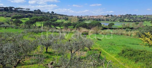terreno agricolo in vendita a Castel Gandolfo in zona Pavona