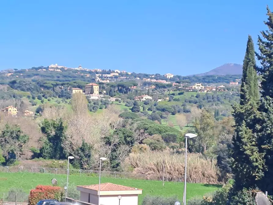 terreno agricolo in vendita a Castel Gandolfo in zona Pavona