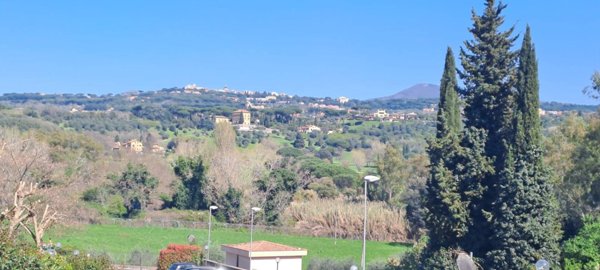 terreno agricolo in vendita a Castel Gandolfo in zona Pavona