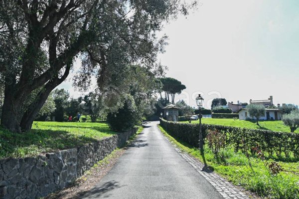 immagine annuncio 0 di 15