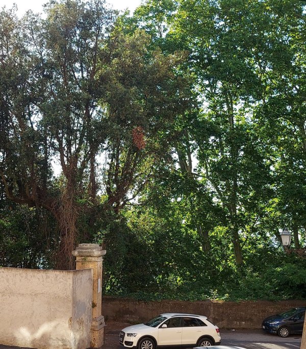 appartamento in vendita a Castel Gandolfo