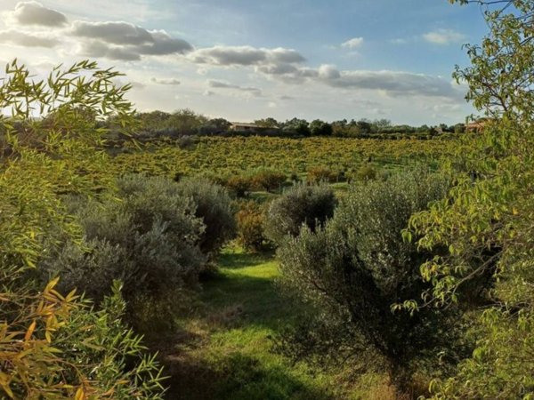 casa indipendente in vendita a Castel Gandolfo