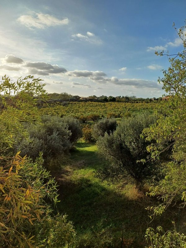 casa indipendente in vendita a Castel Gandolfo