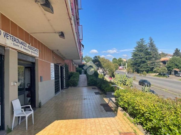 negozio in vendita a Castel Gandolfo in zona Pavona