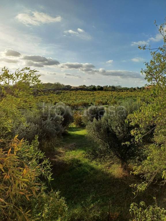 casa indipendente in vendita a Castel Gandolfo