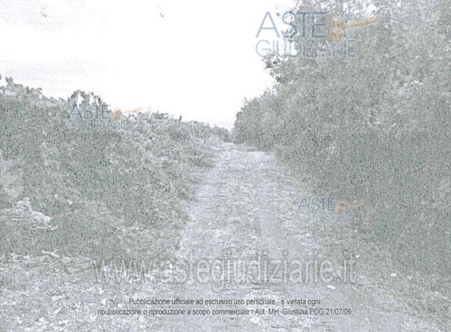 locale commerciale in vendita a Castel Gandolfo