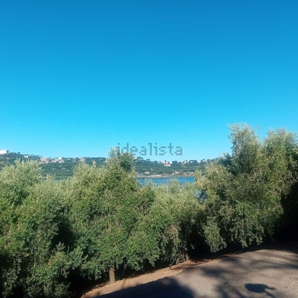 terreno agricolo in vendita a Castel Gandolfo