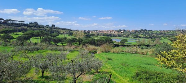 terreno agricolo in vendita a Castel Gandolfo in zona Pavona
