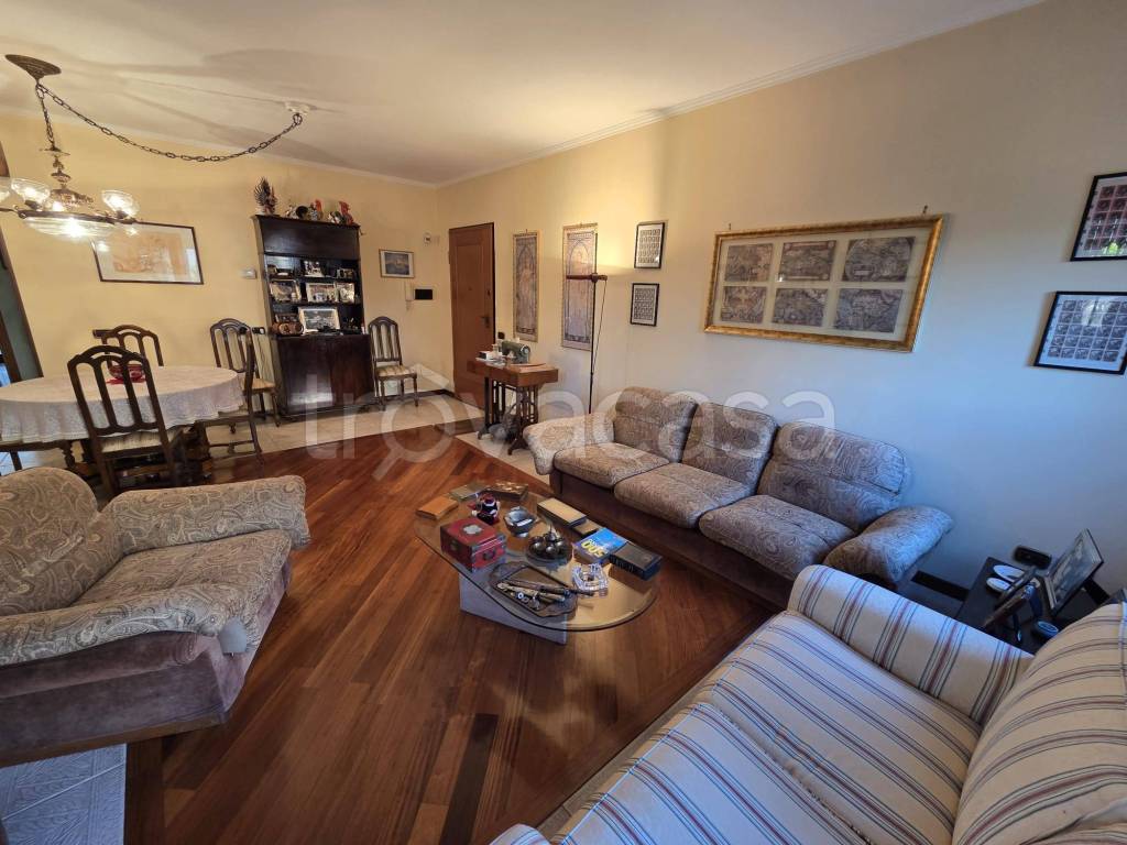 immagine annuncio 0 di 15