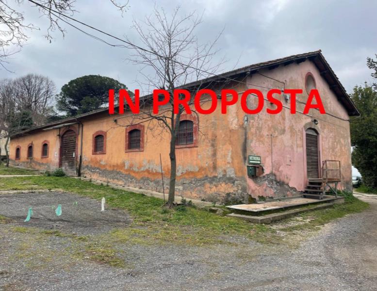 negozio in vendita a Castel Gandolfo