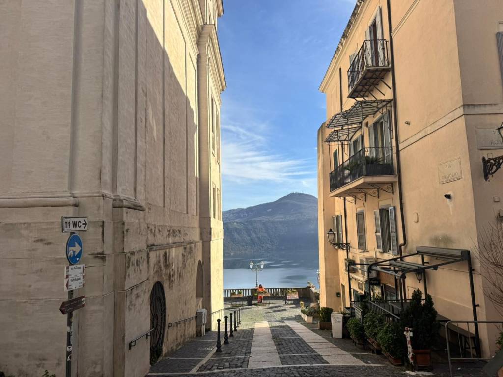 negozio in vendita a Castel Gandolfo