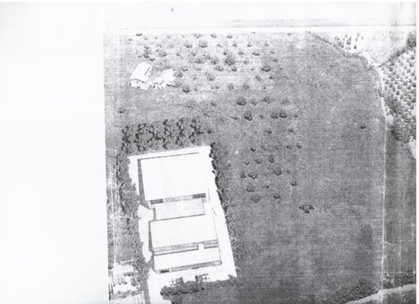 terreno agricolo in vendita a Castel Madama