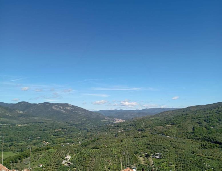 casa indipendente in vendita a Castel Madama