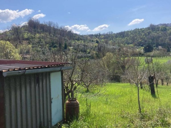 terreno agricolo in vendita a Castel Madama