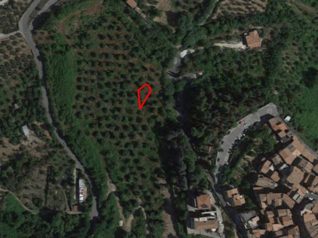 terreno agricolo in vendita a Castel Madama