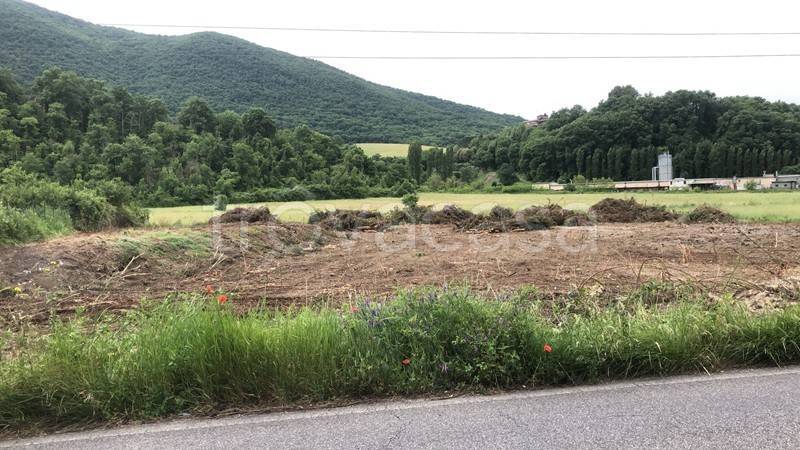 terreno industriale in vendita a Castel Madama