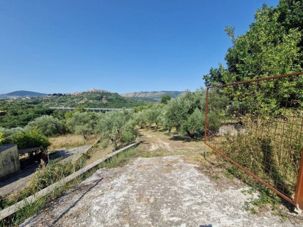 terreno agricolo in vendita a Castel Madama