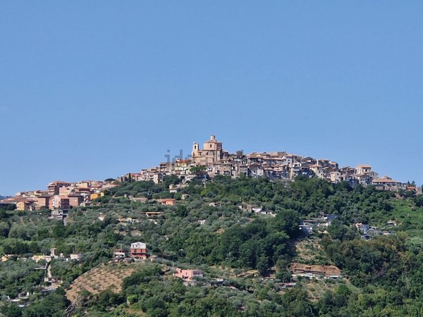 terreno agricolo in vendita a Castel Madama
