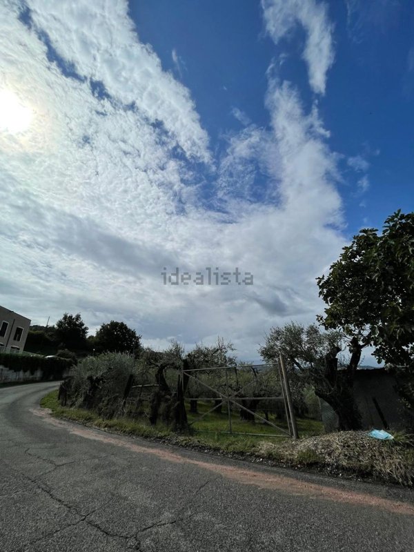 terreno agricolo in vendita a Castel Madama