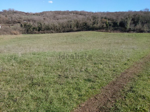 terreno agricolo in vendita a Castel Madama in zona Monitola