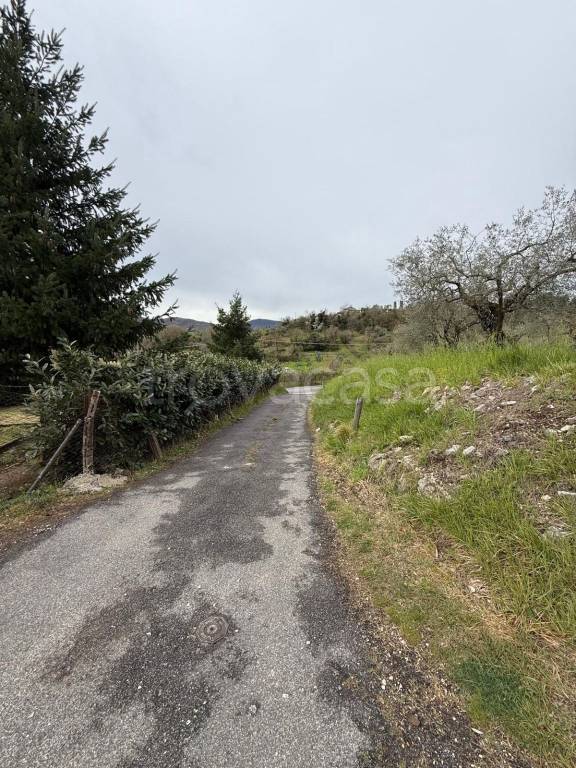 terreno agricolo in vendita a Castel Madama