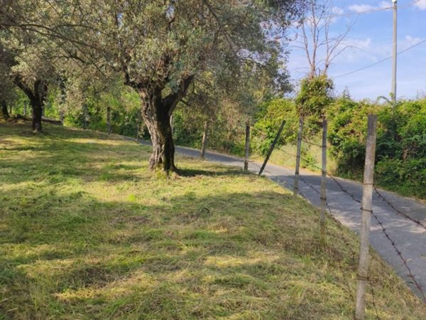 terreno agricolo in vendita a Castel Madama