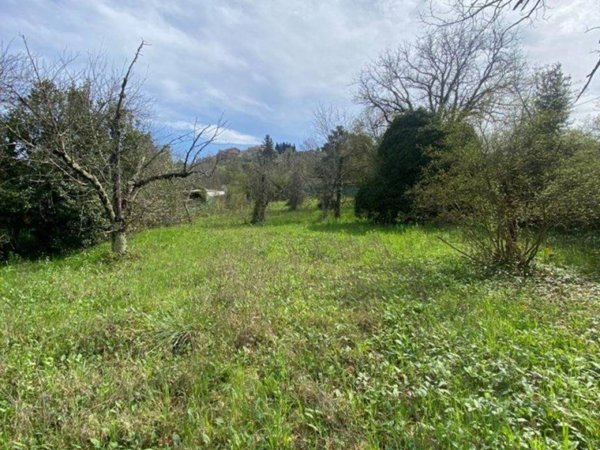terreno agricolo in vendita a Castel Madama in zona Monitola