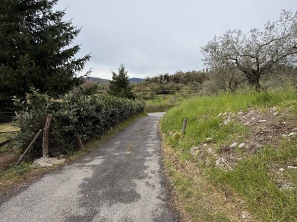 terreno agricolo in vendita a Castel Madama in zona Monitola