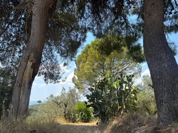 terreno in vendita a Castel Madama in zona Monitola