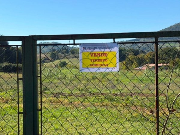 terreno in vendita a Castel Madama in zona Monitola