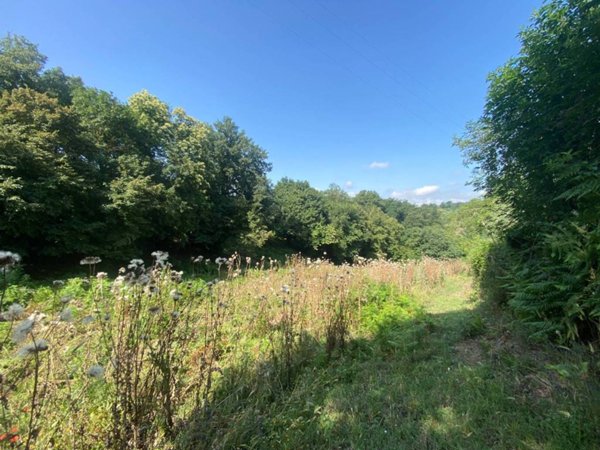 terreno agricolo in vendita a Castelnuovo di Porto