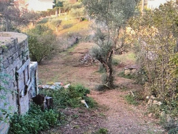 terreno agricolo in vendita a Castelnuovo di Porto